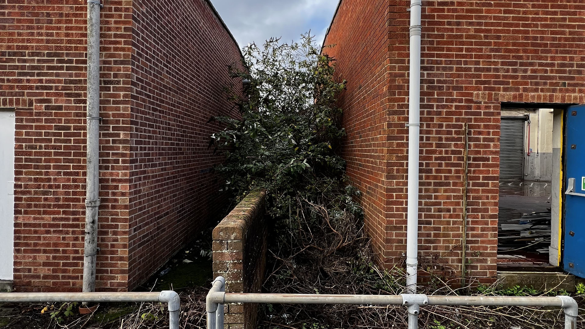 Who Should You Contact First — The Council, a Surveyor, or Your Neighbour Bristol?